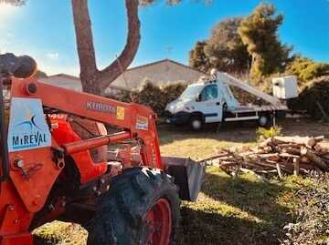 Élagage des arbres du 06 au 10 février 2023