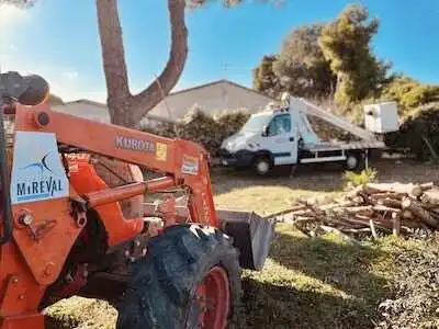 Élagage des arbres du 06 au 10 février 2023