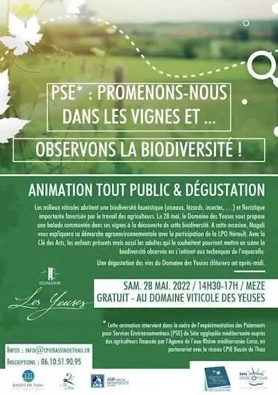 Découvrir la biodiversité des vignes au Domaine des Yeuses à Mèze – samedi 28 mai de 14h à 17h