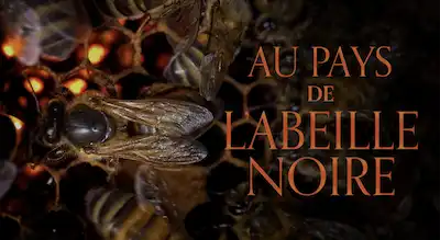 Au pays de l’abeille noire, documentaire le samedi 04 mai à 18h au CCLM