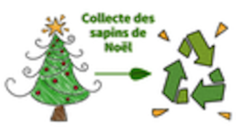 Collecte des Sapins de NOEL