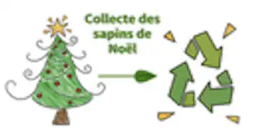 Collecte des Sapins de NOEL