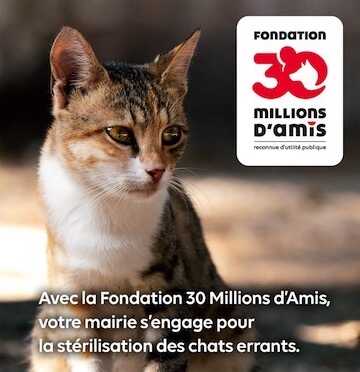 Relatif à la campagne de capture, d’identification et de stérilisation des chats errants