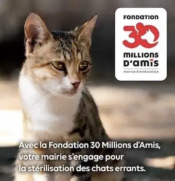 Relatif à la campagne de capture, d’identification et de stérilisation des chats errants