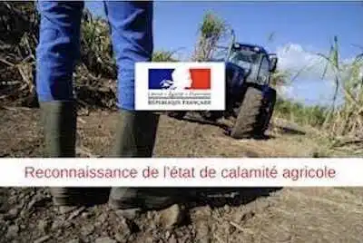 Arrêté de reconnaissance du caractère de calamité agricole aux dommages subis par les agriculteurs de l’Hérault suite au gel du 4 au 8 avril 2021